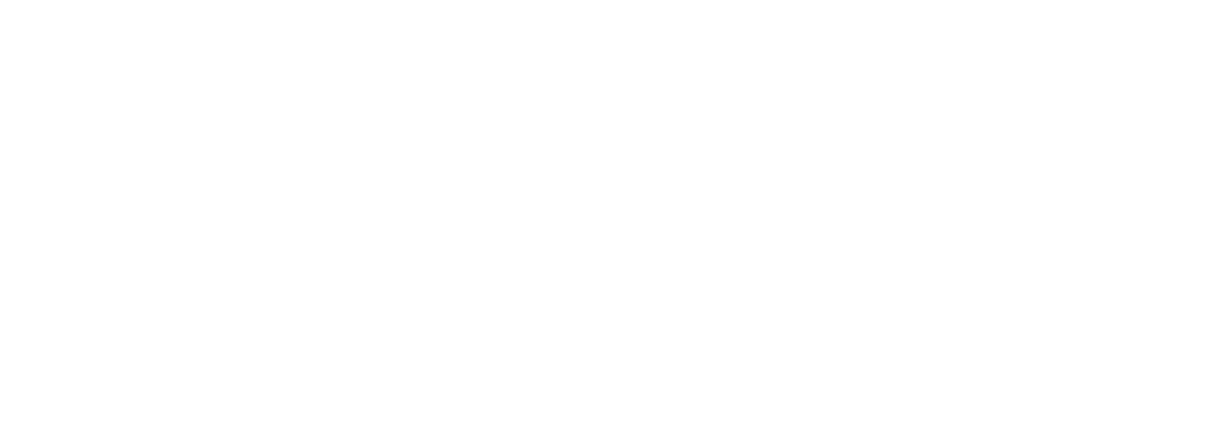 whi-IT-service24-logo